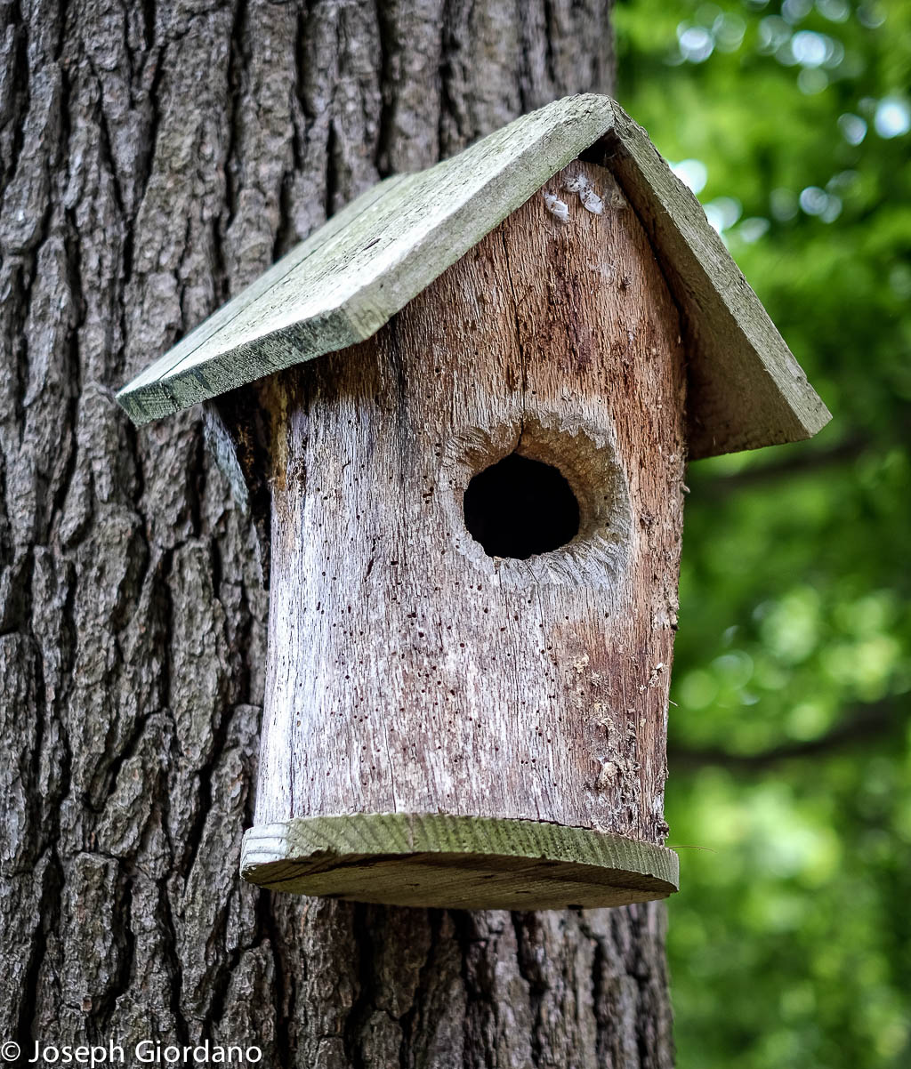 Birdhouse