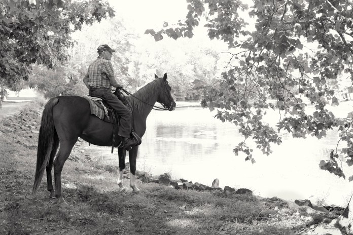 The Arabian and his Rider