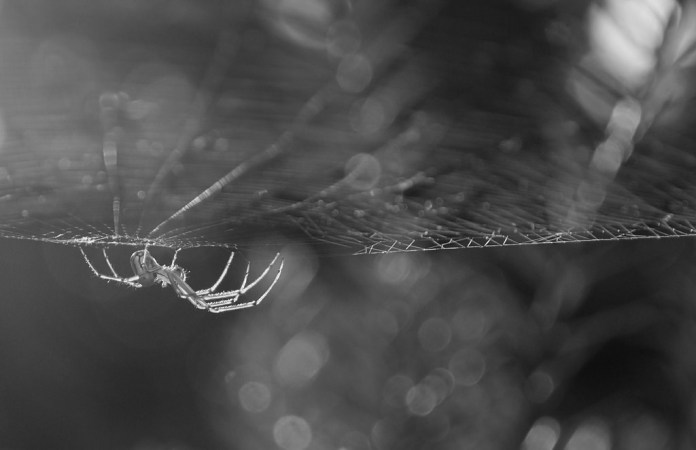 15068174845_4ce3b4b0c2_b