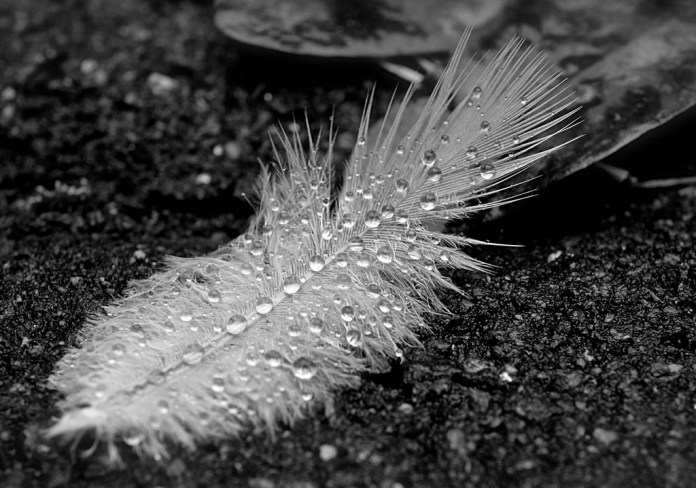 15617771532_b47b049ec3_b