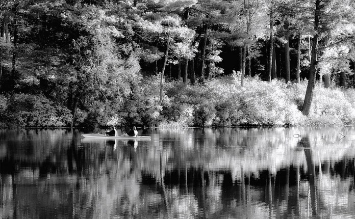 15742189506_617d5e69c5_b