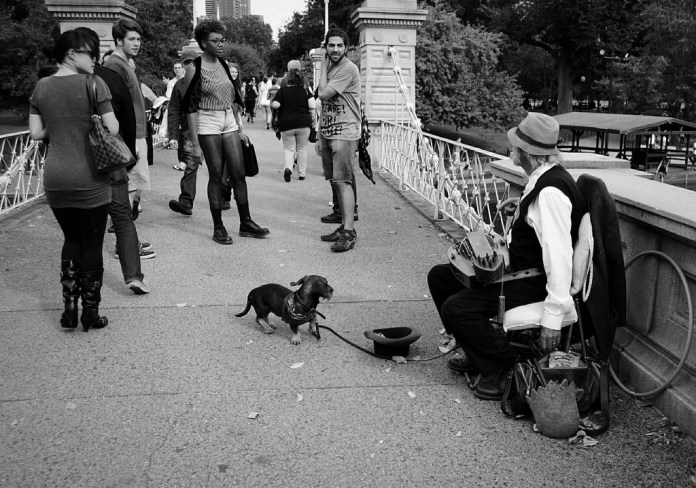 15861907046_2482bb7241_b