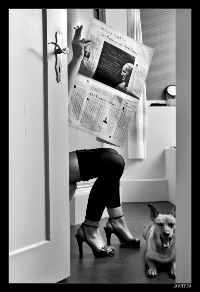 tireddogyawns-lr_jaytee59_152