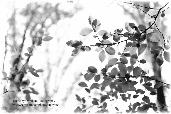 Complexity and Simplicity