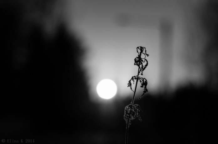 sunset_Elina