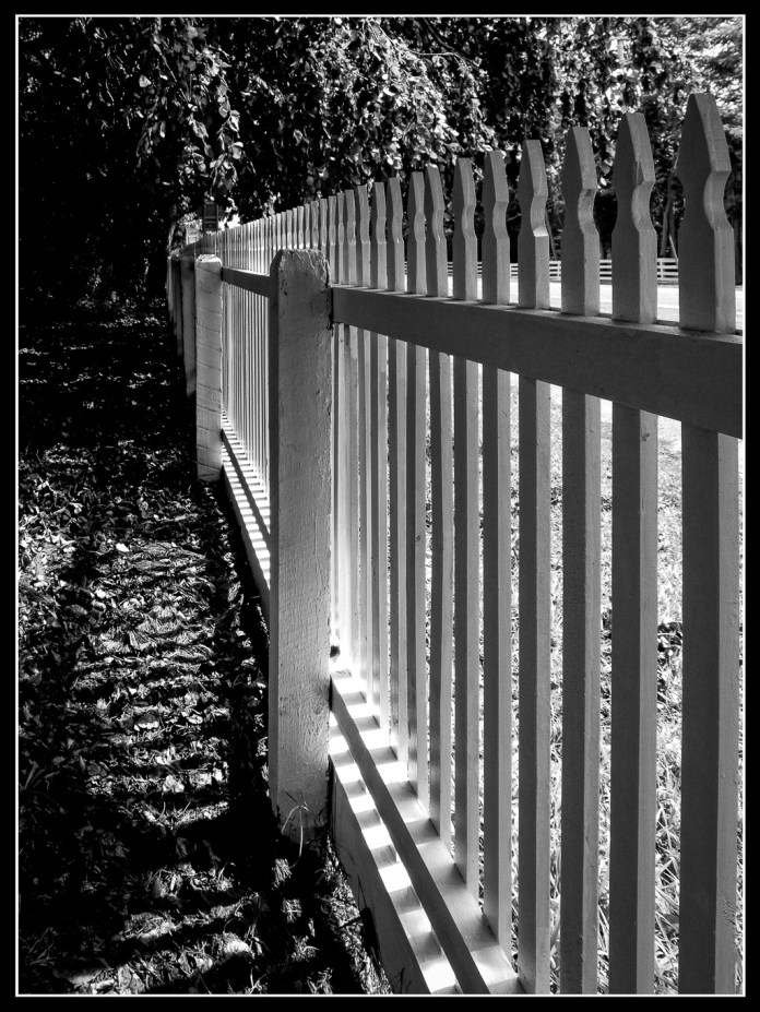 WhitePicket (1 of 1)