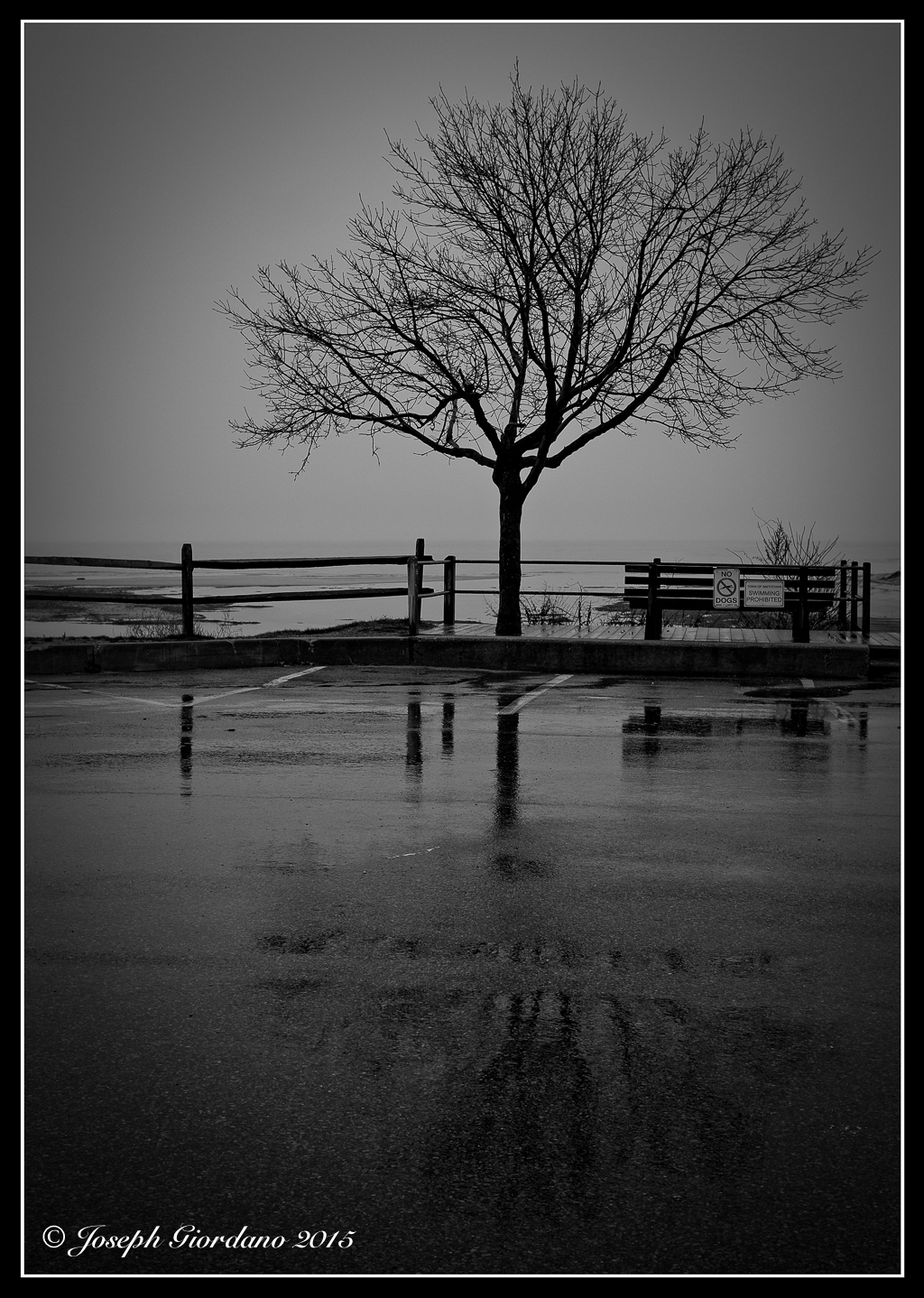 Gloom