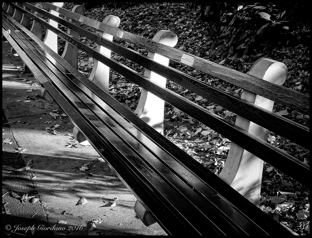 parkbench-bw