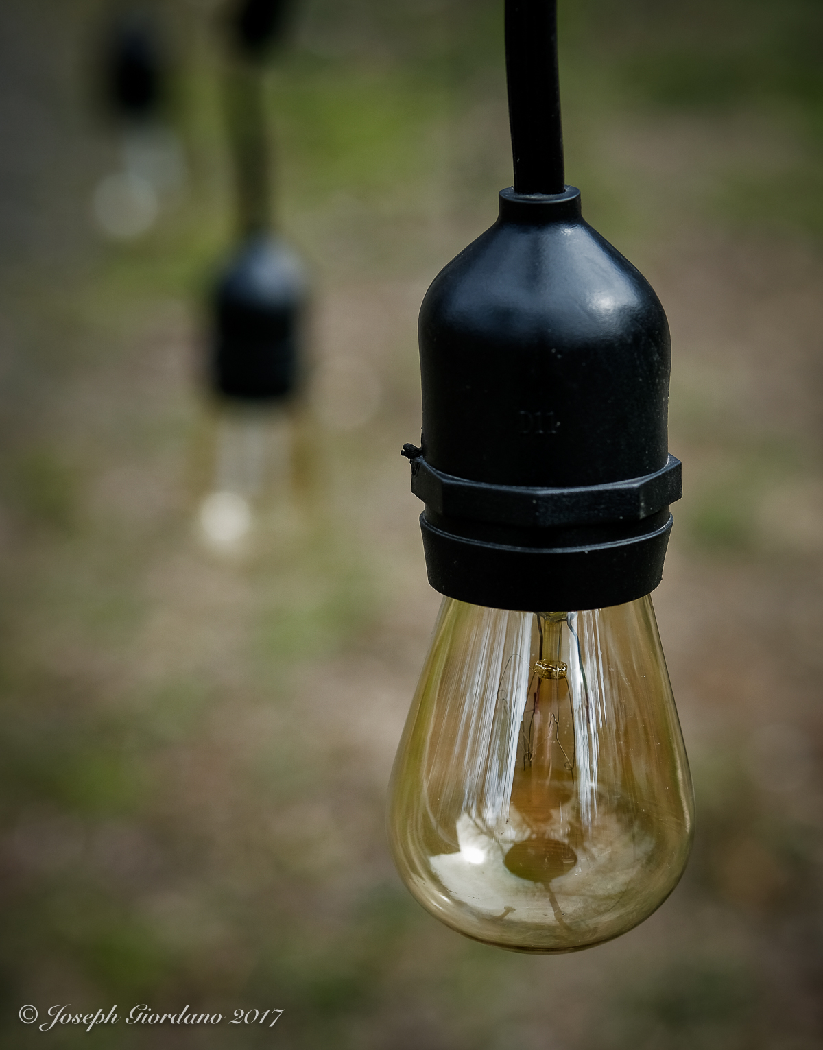 Edison Bulb | The Visual Chronicle
